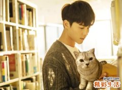 专门吸引奶茶妹子的男生个性网名