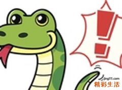 梦见好多蛇说明啥，做梦梦到和小舅子大战好多蛇