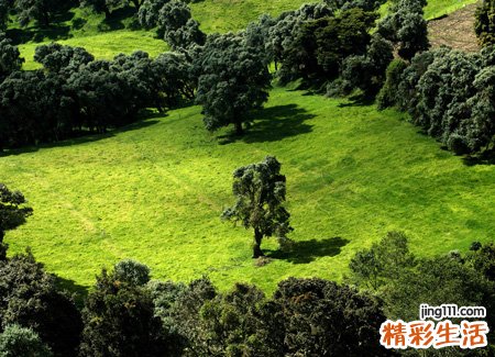 男生网名霸气超拽英文