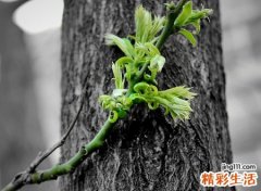 很低调的微信网名
