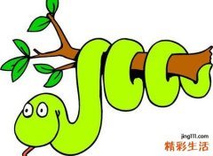 梦见大蟒蛇怎么回事，做梦梦到在朋友家黑色大蟒蛇追我