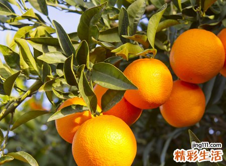 最值得笑的3个字qq搞笑网名