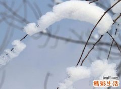 梦见铲雪预示什么，做梦梦到地上有雪但没下雪