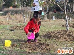 梦见浇水代表什么，做梦梦到给树苗浇水