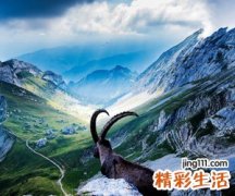 伤感个性男生网名大全