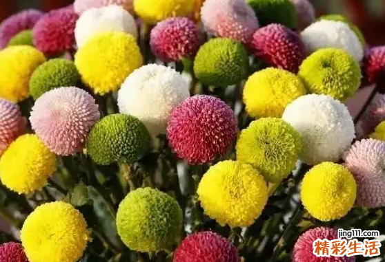 2022年8月17日是什么日子 2022年8月17日黄历忌宜与吉凶