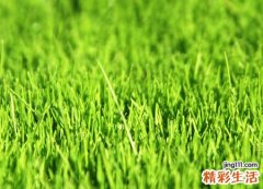 最新很新鲜的小清新网名