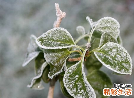 往事如花假装无所谓的感性网名