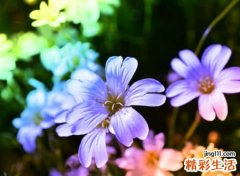 沁心心扉又心悦神爽的感性网名