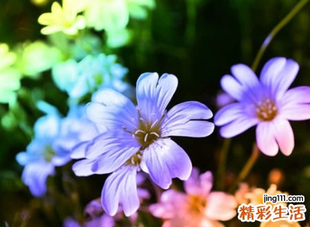 沁心心扉又心悦神爽的感性网名