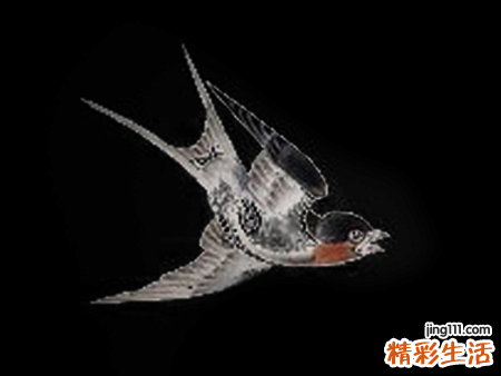 梦见小燕子好不好，做梦梦到很小燕子咬我