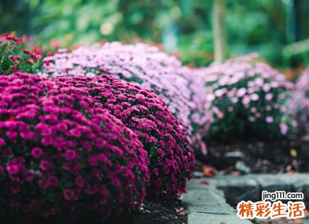 不相信爱情的霸气微信网名