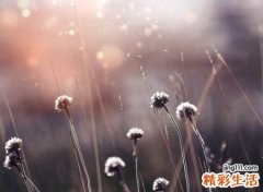 暴风逆行孤影自哀的狠心狂浪网名