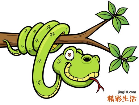 梦见大蟒蛇是什么意思，女人梦见好大一条蟒蛇