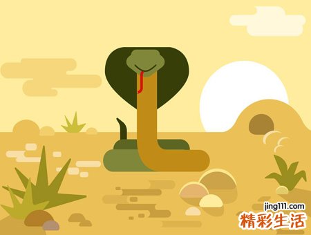 梦见把蛇打死预示什么，做梦梦到杀死蛇把蛇斩断