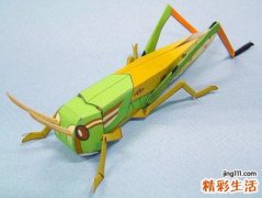 梦见吸血虫代表什么，做梦梦到腿里面有吸血虫在吸血
