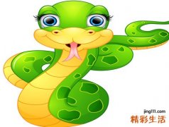 男人梦见蛇预示什么，男人梦见两条蛇