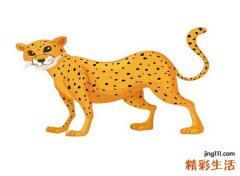 梦见豹子好不好，梦到豹子对自己亲密