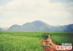 梦见死人又活了好吗，做梦梦到亲人死了又活过来