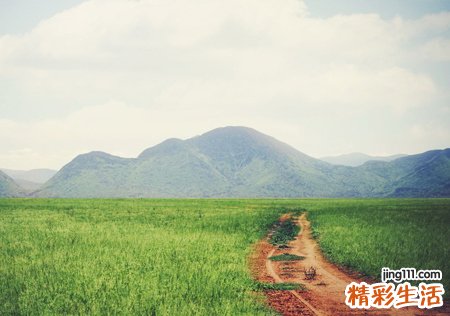 梦见死人又活了好吗，做梦梦到亲人死了又活过来