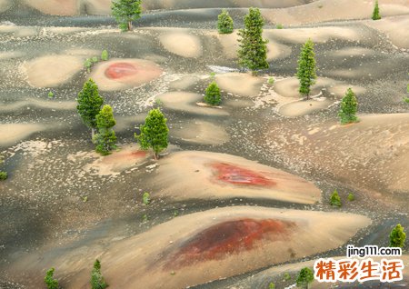 梦见死人活了好不好，做梦梦到亲人死了又活过来
