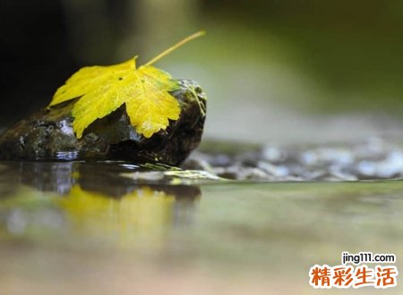 冷漠绝情不悔的伤感微信网名