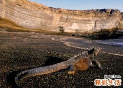 梦见死人对我笑好吗，做梦梦到死去的长辈对自己笑