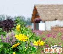 好听时尚的三个字快手名字