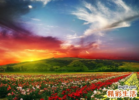 做梦梦见死人预示什么，女人最近老梦见死人