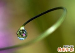 梦见吊死人有什么预兆，做梦梦到别人被吊死在眼前