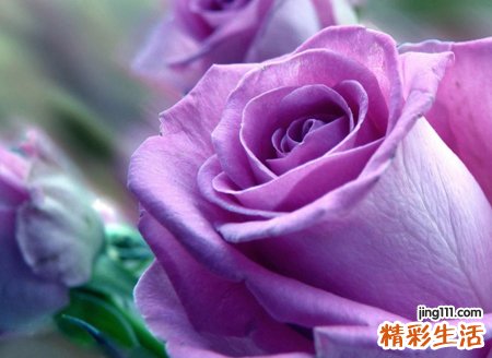 梦见很多死人是什么意思，女人梦见好多死人