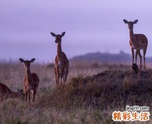 经典个性扣扣网名