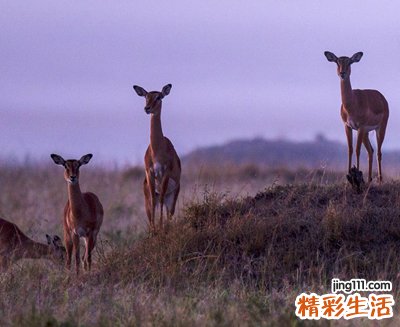 经典个性扣扣网名