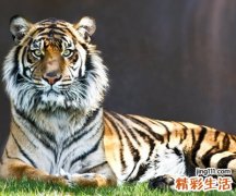 适合高中生的qq网名