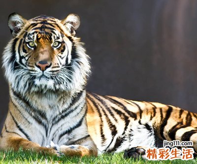 适合高中生的qq网名