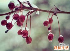简单随性洒脱的微信网名