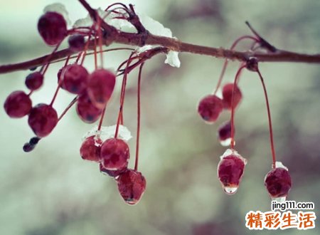 简单随性洒脱的微信网名
