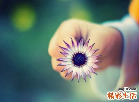 看透人心的心寒网名，人走茶凉的伤感微信昵称