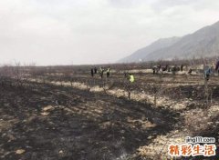 梦见很多坟好吗，女人梦见坟一个挨一个