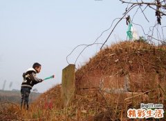 梦见上坟有什么预兆，做梦梦到和家人一起去上坟