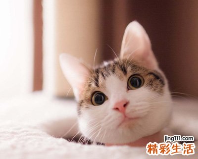 经典很拽的微信个性网名大全
