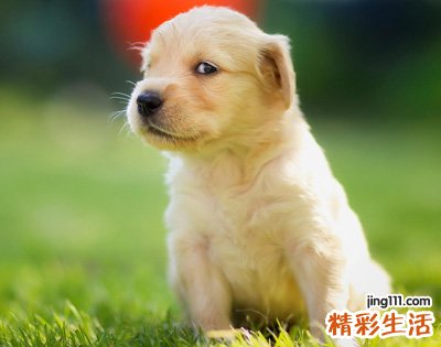 新颖时尚的简单qq个性网名