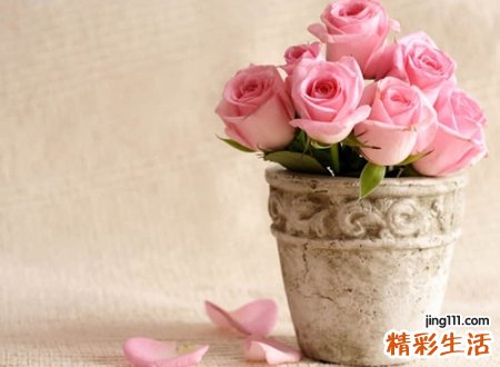 文艺小清新的简约森系英文网名