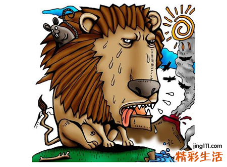 梦见被狮子追好吗，做梦梦到被狮子追逃脱后穿一双红鞋