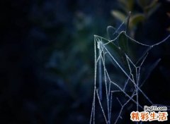 悲恸忧郁伤感的快手名字