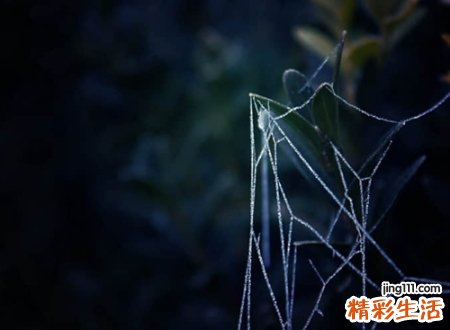 悲恸忧郁伤感的快手名字