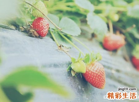 容易涨粉的快手个性名字