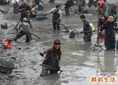 梦见浑水好不好，做梦梦到滚滚而流的泥浆水