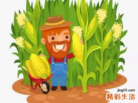 梦见蟒蛇是好是坏，做梦梦到在玉米地碰到蟒蛇