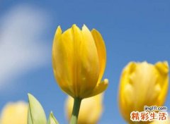 正能量有感染力的简单易记网名